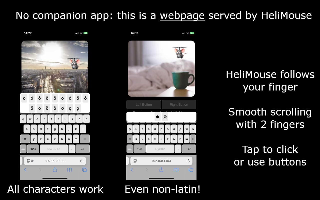 HeliMouse web app